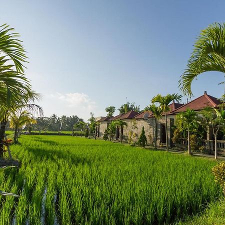 De Sawah Satoe Villa And Resort อูบุด ภายนอก รูปภาพ
