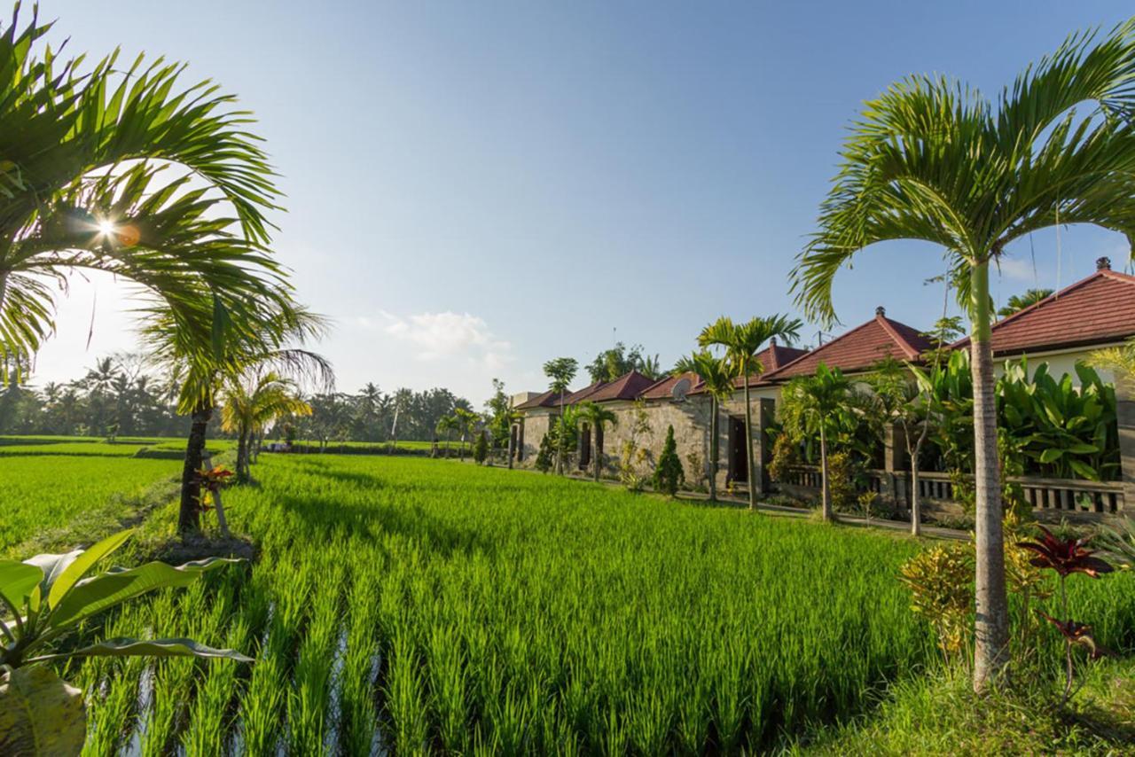 De Sawah Satoe Villa And Resort อูบุด ภายนอก รูปภาพ