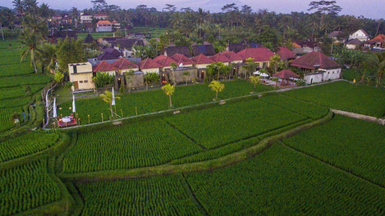 De Sawah Satoe Villa And Resort อูบุด ภายนอก รูปภาพ